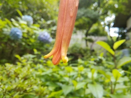 飄々と…_b0368362_03113293.jpg