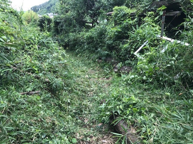 畑道に続き畑の前の赤道沿いの下草刈り7・13_c0014967_16480042.jpg