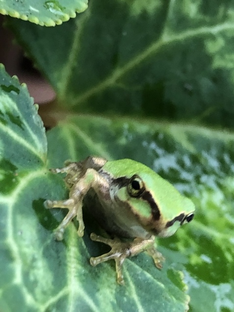 Blue Monday 、だけど。_a0394574_20081928.jpeg