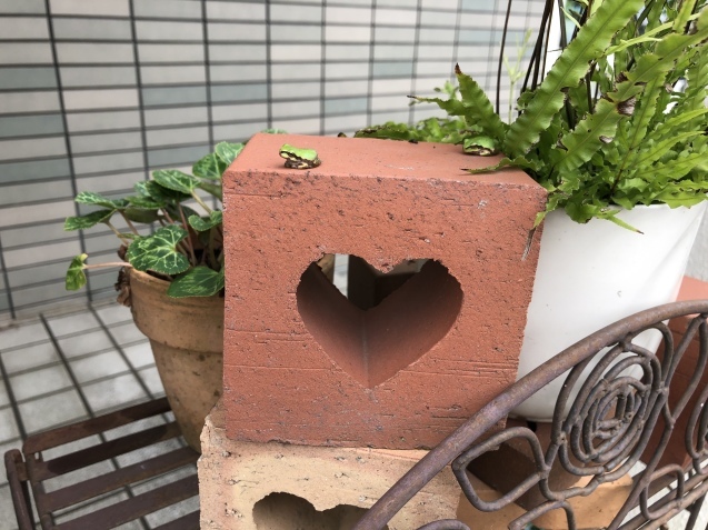 Blue Monday 、だけど。_a0394574_20123240.jpeg