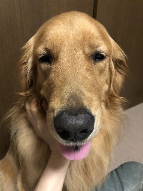 Blue Monday 、だけど。_a0394574_20180648.jpeg