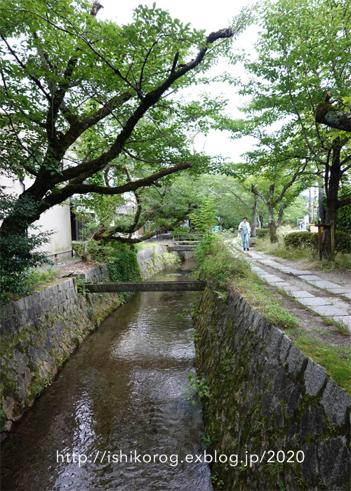 侘び寂びの銀閣寺_a0223379_5425082.jpg