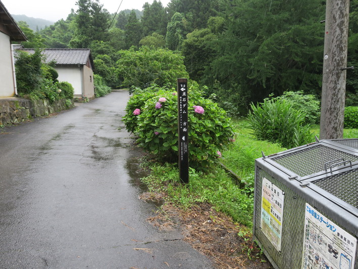 国東半島峯道ロングトレイルT2　2020.07.12（日）_a0166196_16162865.jpg