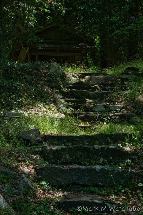 地図に載っていない無名神社-2_e0135098_23533777.jpg