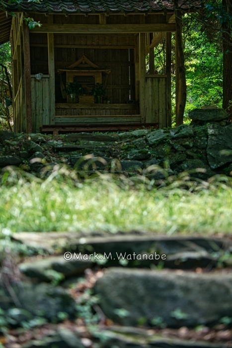 地図に載っていない無名神社-2_e0135098_23534985.jpg