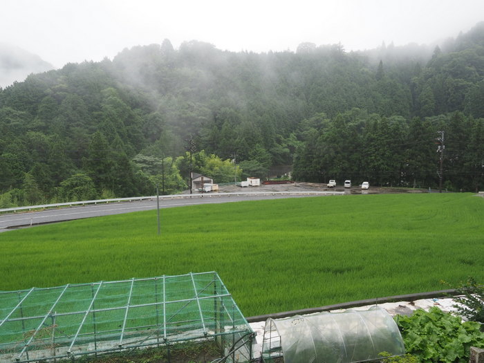 雨の一日_c0116915_00082880.jpg