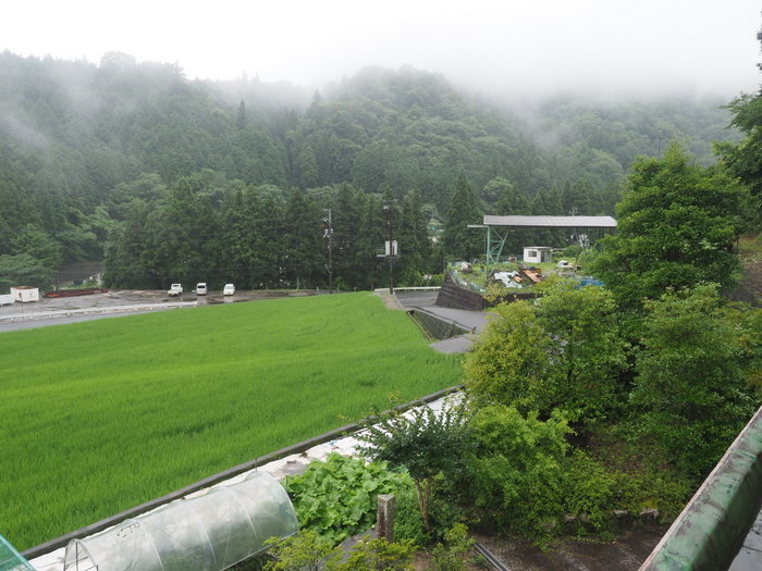 雨の一日_c0116915_00083688.jpg