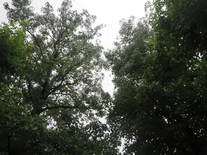 佐伯区民文化センター&五日市中央公園_c0116915_23043855.jpg