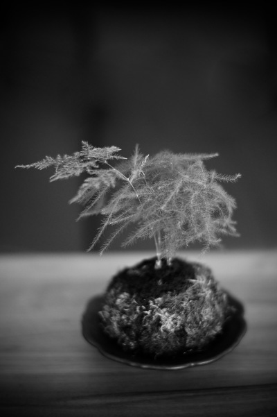似てる_f0057849_18264249.jpg