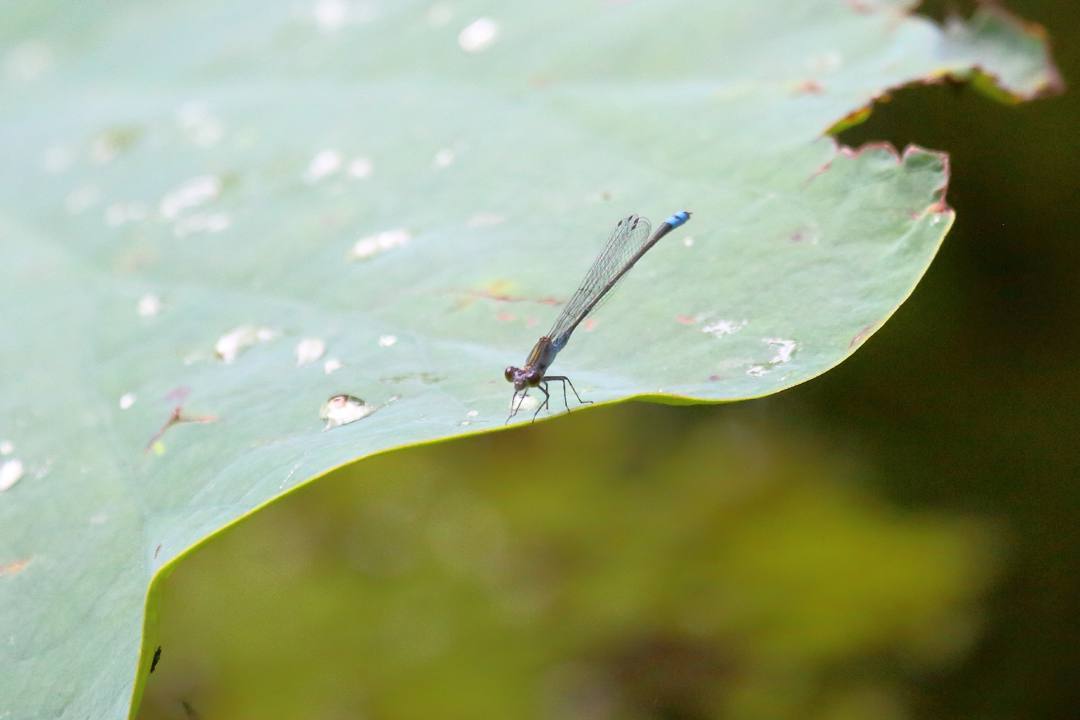 過写_e0403850_20093084.jpg