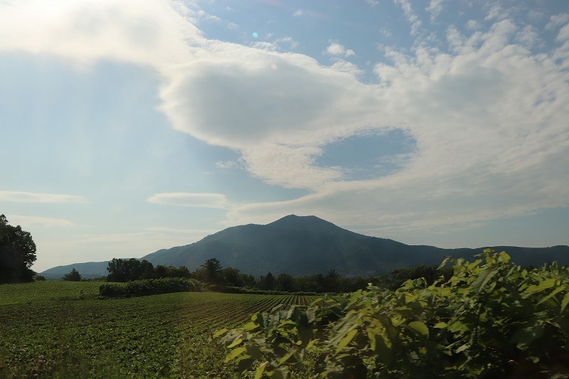 7月10日   ニセコへ　3　倶知安町_b0250154_06111675.jpg