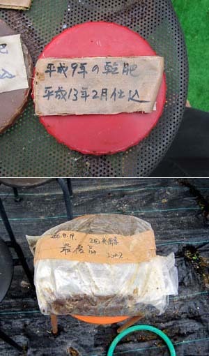 中国春蘭黄花　　　　　　　　　　　　No.2039_d0103457_23575827.jpg