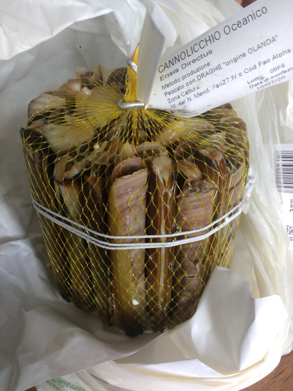 魚喰い日記 Cannolicchio マテ貝 コントリ コントラバスでトリエステ ヌオーヴォ