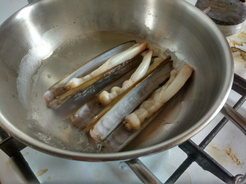 魚喰い日記 Cannolicchio マテ貝 コントリ コントラバスでトリエステ ヌオーヴォ