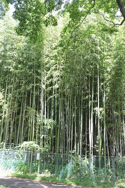 新発見!心地よい場所。_b0111376_15555670.jpg