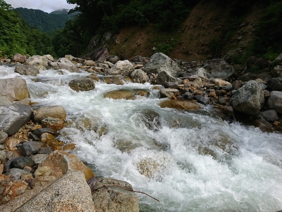 お山(今年3回目)_c0157482_09473900.jpg
