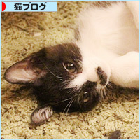 心配な体調_a0389088_05304841.jpg