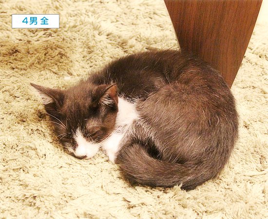 心配な体調_a0389088_05304847.jpg
