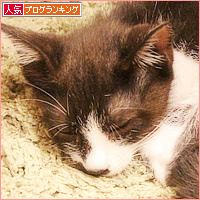 心配な体調_a0389088_05304965.jpg