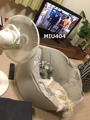 今日は王子のドナドナデー。_f0372998_21303003.jpg