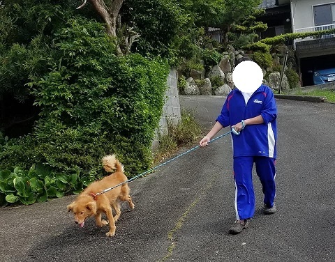 あいつ今何してる?(卒業犬猫たち)_f0242002_17224306.jpg