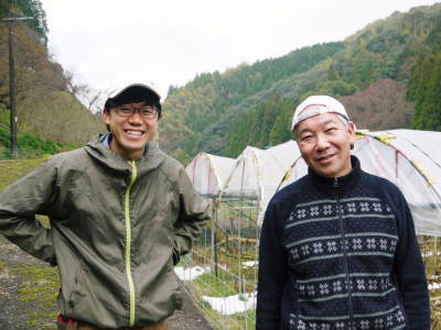 大人気の“甘熟”いちじく!今年(令和2年度)も惜しまぬ手間ひまをかけ順調に成長中!8月中旬からの発送予定_a0254656_17560100.jpg