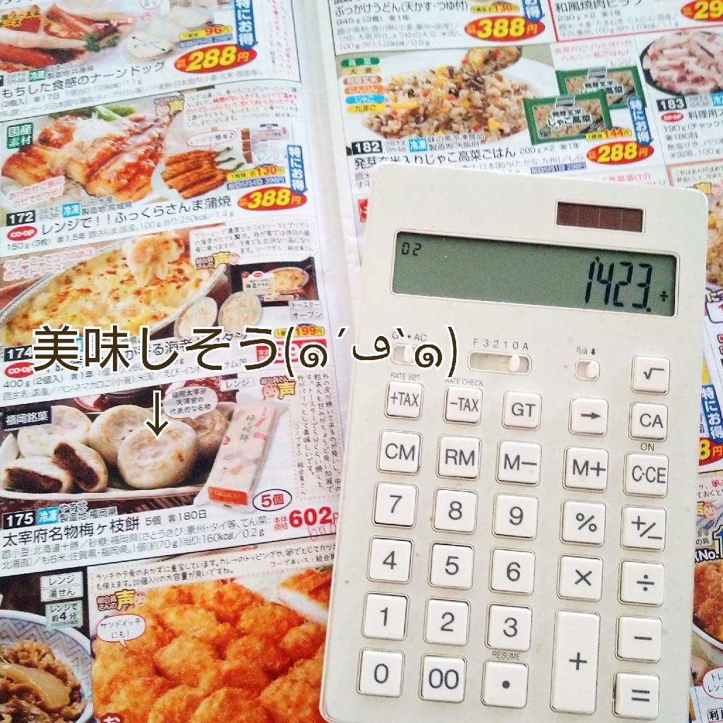 ++コープ宅配&予算設定*++_e0354456_08573269.jpg