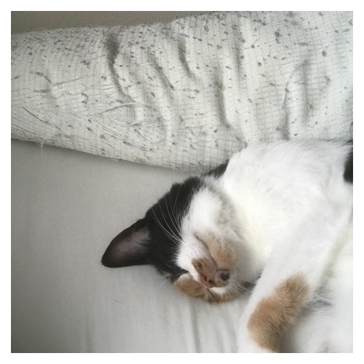 ムフン、プフン。_b0016168_10261808.jpeg