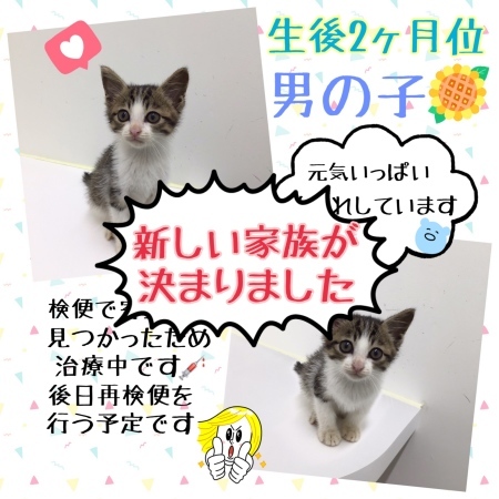 新しい家族を探しています☺︎_c0138175_10032010.jpeg
