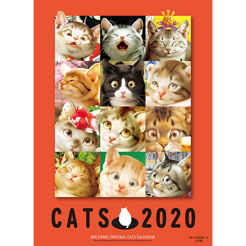 《 村松 猫 2020 》_c0328479_11542933.jpg