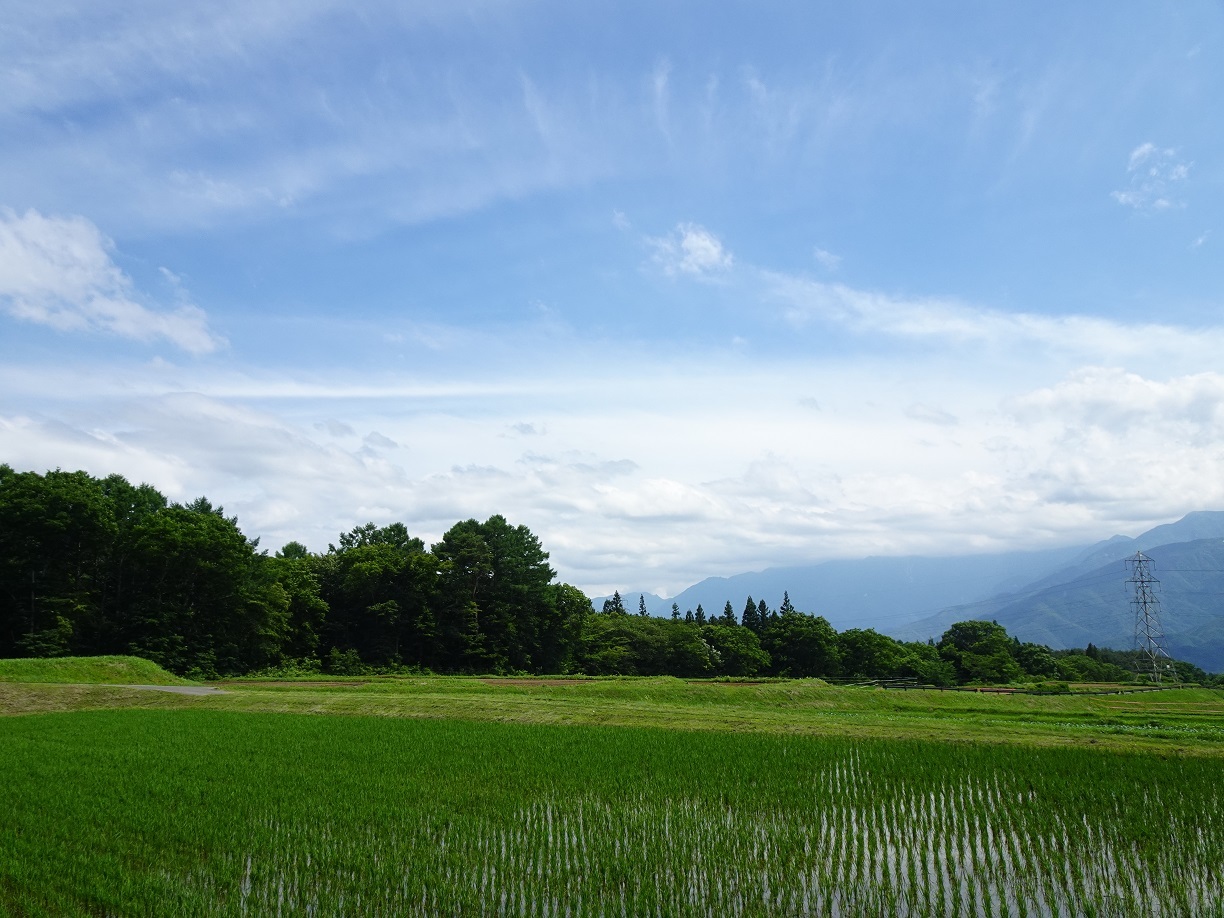 富士見町Tさん邸の現場より 1_a0211886_17532867.jpg