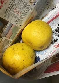 レジ袋の代わりに・・・_a0264589_10322188.jpg