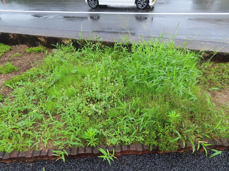 R2のある暮らしを考える_f0076731_20033914.jpg