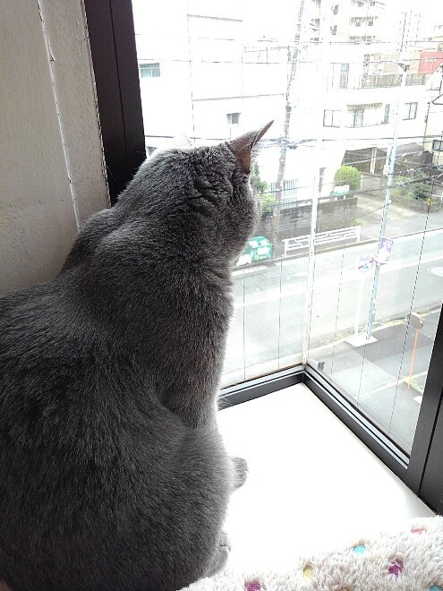 夏休み1回目_d0152937_16113618.jpg