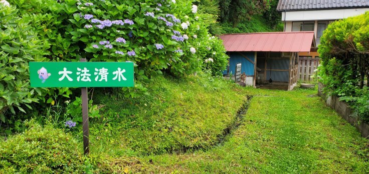 薬王寺の紫陽花　＠福島県石川町_f0048546_23413141.jpg