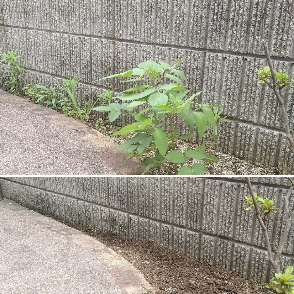++やっと スッキリさせた場所*++_e0354456_08114147.jpg