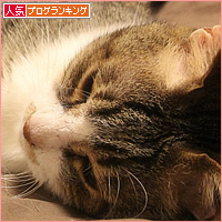 はじめての対面_a0389088_02372109.jpg