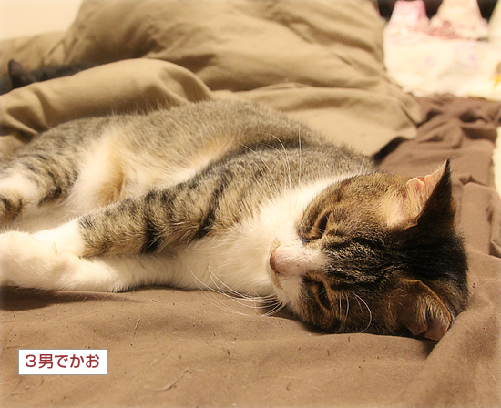 はじめての対面_a0389088_02372182.jpg