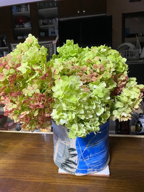 紫陽花_b0158721_21173645.jpg