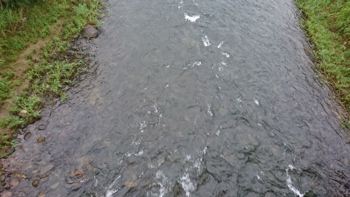 7月17日 河川情報。午..._c0266737_06245485.jpg