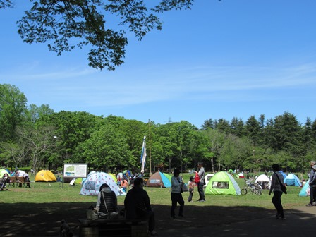 再び小金井公園のフリーマーケット Der Liebling 蚤の市フリークの雑貨手帖3冊目 再び小金井公園のフリーマーケット Der Liebling 蚤の市フリークの雑貨手帖3冊目