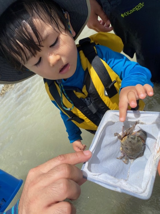 青空ようちえん〔週末〕サンゴの海あそび(7/5)夏といえばやっぱり海、おもしろい!びっくり!おいしい!きれい!海のいろんな楽しいを親子で発見!_d0363878_13081649.jpg