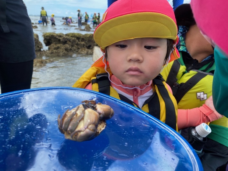 青空ようちえん〔週末〕サンゴの海あそび(7/5)夏といえばやっぱり海、おもしろい!びっくり!おいしい!きれい!海のいろんな楽しいを親子で発見!_d0363878_13081719.jpg