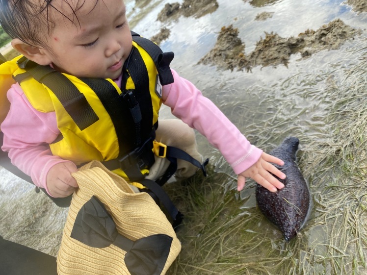 青空ようちえん〔週末〕サンゴの海あそび(7/5)夏といえばやっぱり海、おもしろい!びっくり!おいしい!きれい!海のいろんな楽しいを親子で発見!_d0363878_13161606.jpg
