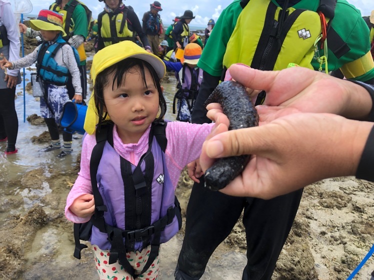 青空ようちえん〔週末〕サンゴの海あそび(7/5)夏といえばやっぱり海、おもしろい!びっくり!おいしい!きれい!海のいろんな楽しいを親子で発見!_d0363878_13161647.jpg
