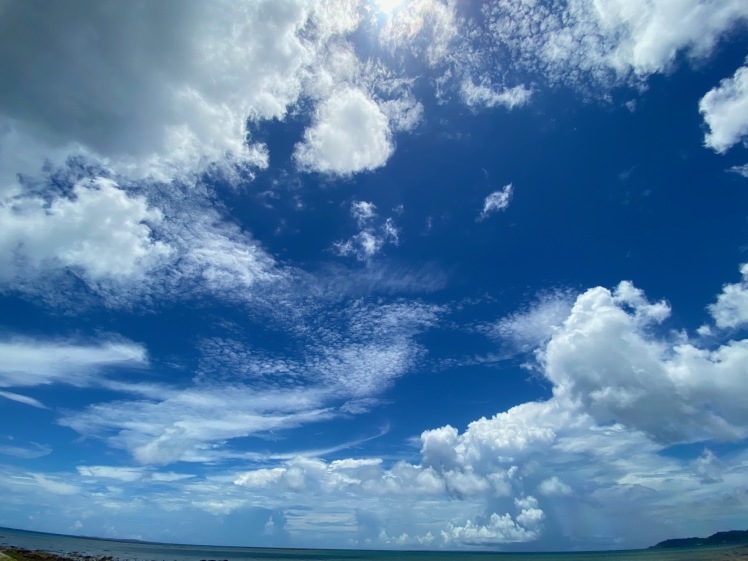 青空ようちえん〔週末〕サンゴの海あそび(7/5)夏といえばやっぱり海、おもしろい!びっくり!おいしい!きれい!海のいろんな楽しいを親子で発見!_d0363878_13161769.jpg