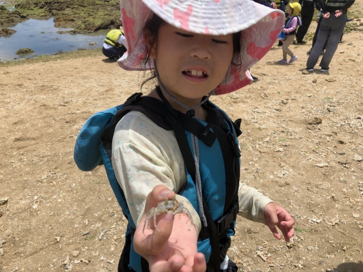 青空ようちえん〔週末〕サンゴの海あそび(7/5)夏といえばやっぱり海、おもしろい!びっくり!おいしい!きれい!海のいろんな楽しいを親子で発見!_d0363878_13211383.jpg
