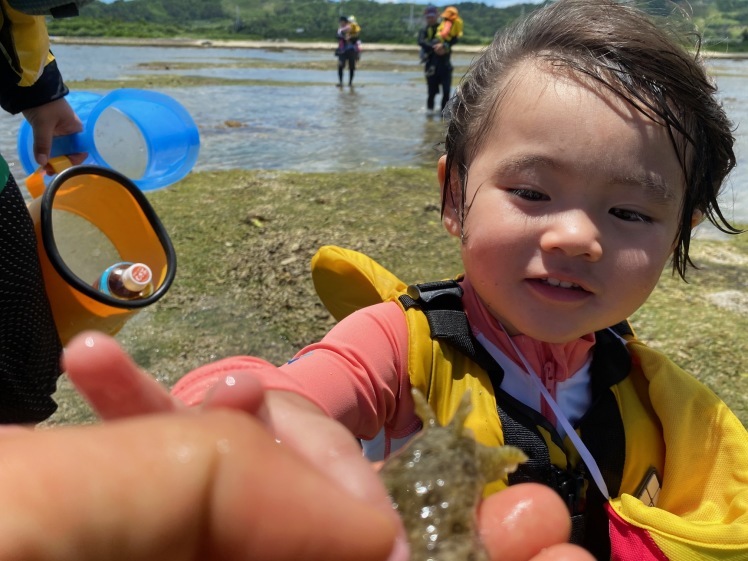 青空ようちえん〔週末〕サンゴの海あそび(7/5)夏といえばやっぱり海、おもしろい!びっくり!おいしい!きれい!海のいろんな楽しいを親子で発見!_d0363878_13255300.jpg