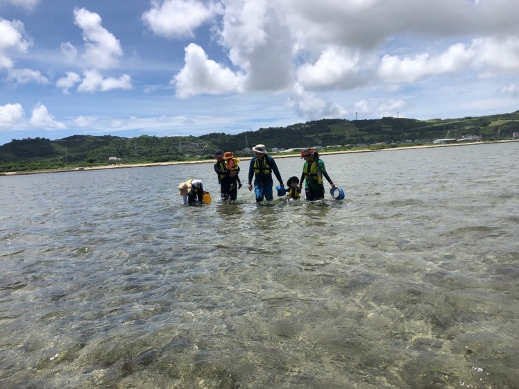 青空ようちえん〔週末〕サンゴの海あそび(7/5)夏といえばやっぱり海、おもしろい!びっくり!おいしい!きれい!海のいろんな楽しいを親子で発見!_d0363878_13274266.jpg