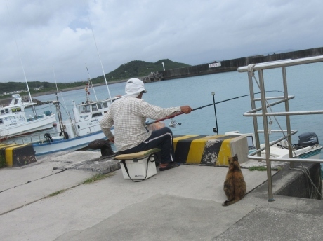 7月16日 久高島(くだかじま)_a0203003_08383872.jpg